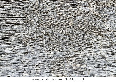 Wood gray texture for the background and abstract