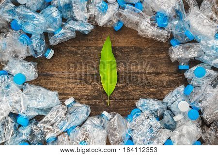 Recycling concept. Green leaves on a wooden background around the transparent plastic bottles. The problem of ecology environmental pollution.