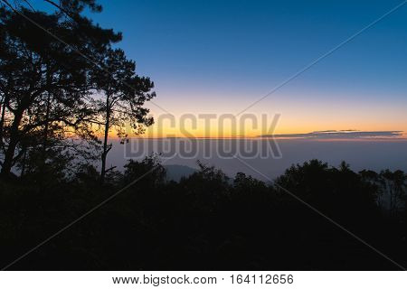 Sunrise In The Morning,
