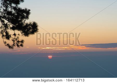 Sunrise In The Morning,