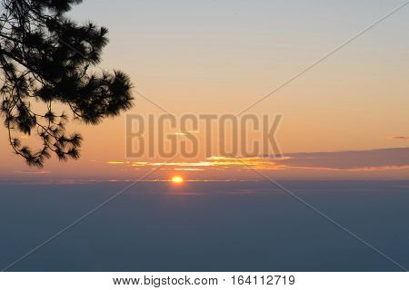Sunrise In The Morning,