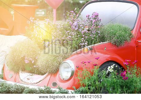 sweet dreamy Old car and fields of flowers with light flare