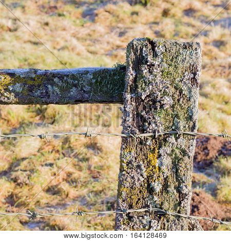 Old Barbed Wire On Weathered Fence Post With Lichen