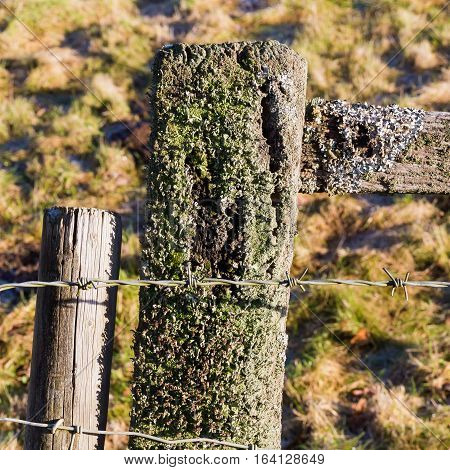 Old Barbed Wire On Weathered Fence Post With Lichen