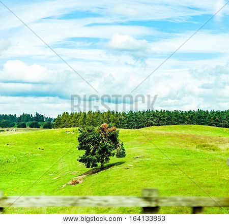 landscapes of agricultural fields photographed from the car near blackford town in the Highlands Scotland