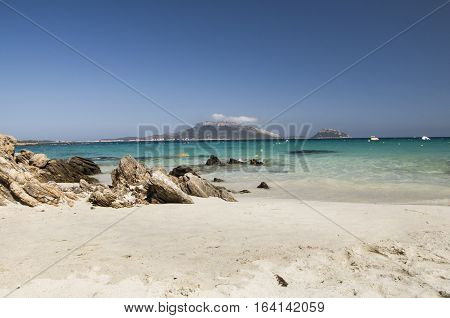 Landscape figaroli island in sardinia IN italy summer