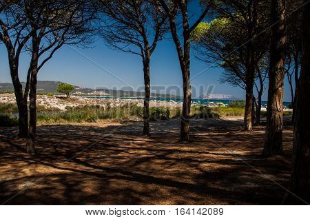 BUDONI Sardinia Italy TANAUNELLA BEACH SUMMER 2016