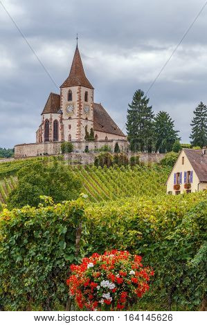 View of fortified Church in Hunawihr with surrounding vineyards Alsace France
