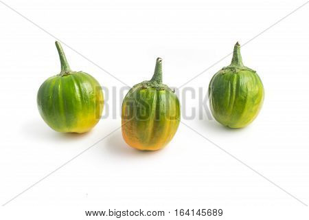 African Eggplant. Brazilian Jilo isolated on white background