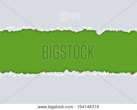 Torn Paper With Space, Vector