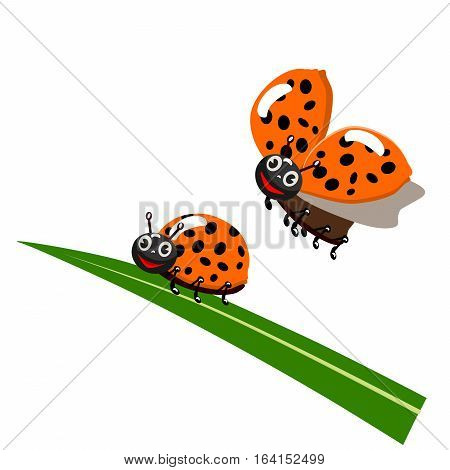 Ladybug On Leaf, Isolated On White Background, Vector Illustration