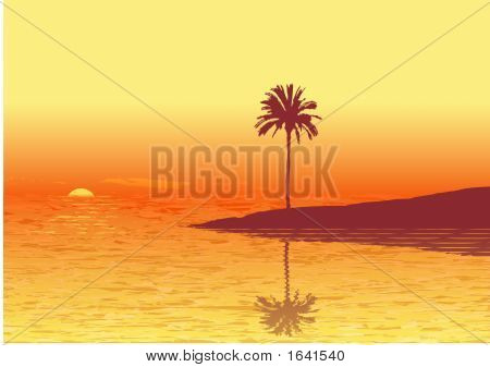 Tropic Beach