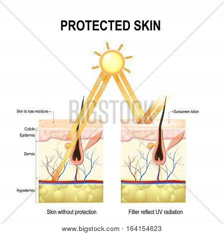 Protect human skin from UVA UVB rays. without protective cream rays penetrate deep into skin damaging elastin and collagen fibers skin loses moisture. The sunscreen lotion protected the skin from harmful radiation.