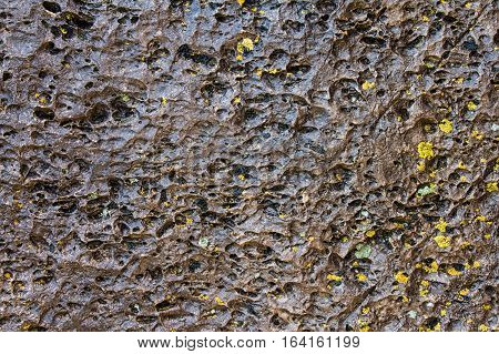 Stone covered by lichen. Natural textured background. Brown rock with cracks and colorful spots of lichen. Spotted yellow and grey abstract pattern with place for your text