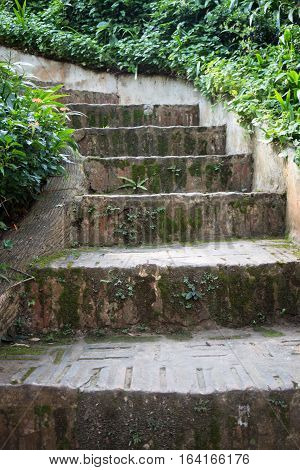 Stairway to jungle in the garden stock photo