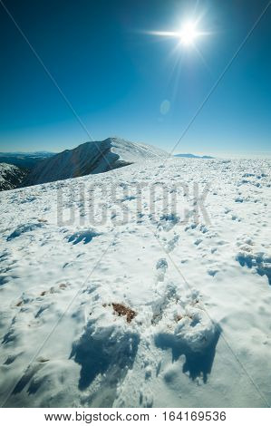 Winter in the mountains national park. Snowy and sunny