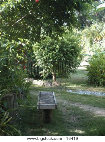 Lone Bench