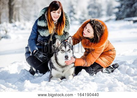 Walk together in the park with his dog. Walking with a dog in winter. Malamute Dog walking with the mistress of the winter in the park. Girl hugging dog in the park in winter.
