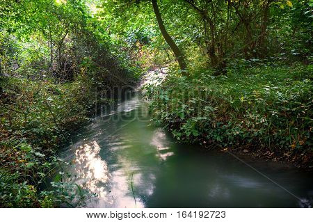 Small river in the middle of the forest