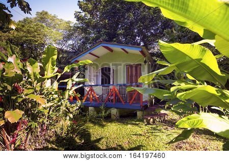 Brazil traditional house at the jungle. palm trees in the garden Brasil