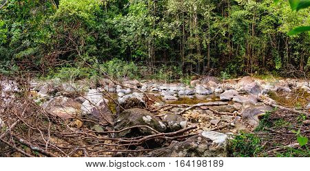 Thai dark tropical forest and rapid mountain river in Mu Koh Chang National Park, Chang island, Thailand. Path to the Khlong Phlu waterfall. Natural background. Soft Focus.