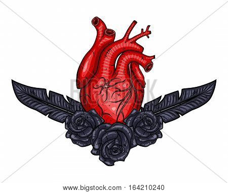 Red Valentines heart with plume and rose. Vector illustration