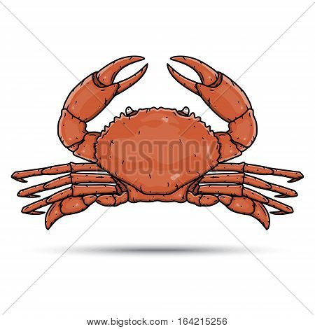 Hand draw crab isolated on white background