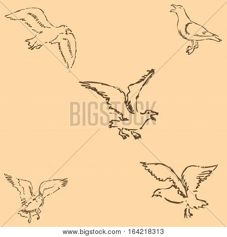 Seagulls sketch. Pencil drawing by hand. Figure in vintage style. Vector Image.