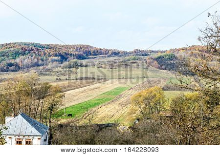 Colored Trees In Autumn Time, Horezu Region, Yellow Orange Leaves, Countryside Blue Sky
