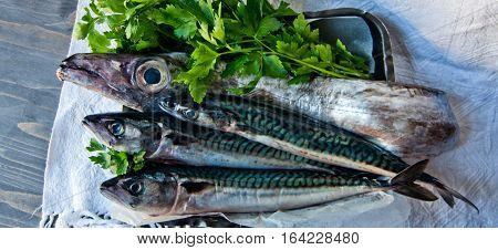 blue fish freshly caught great for a healthy diet ready to be cooked with parsley and lemon oil