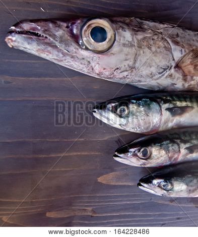 blue fish freshly caught great for a healthy diet ready to be cooked