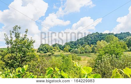 Countryside Of Region Horezu With Hills, Forests And Fileds, Summer Time