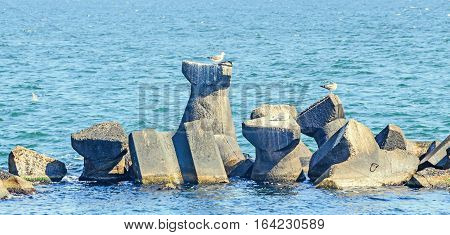 Stabilopods, Rocks In The Sea Water, Black Sea, Blue Green Water