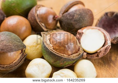 Macadamia nuts in shell harvest close up