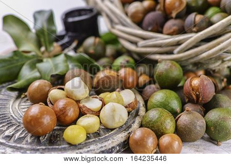 Macadamia in shell nuts harvest close up