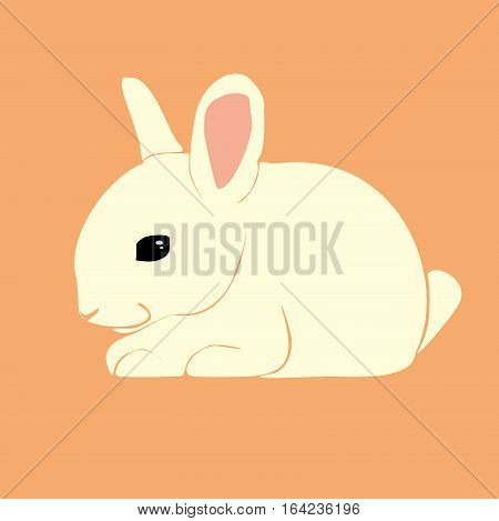 Sweet rabbit isolated vector image on orange