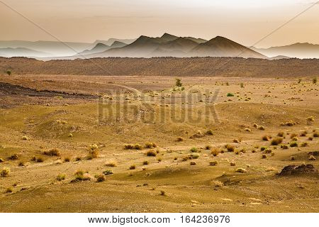 Typical Landscape Of Southern Morocco.