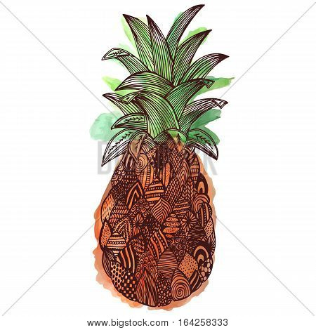 Pine