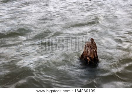 A lonely tree stump in rough waters showing motion
