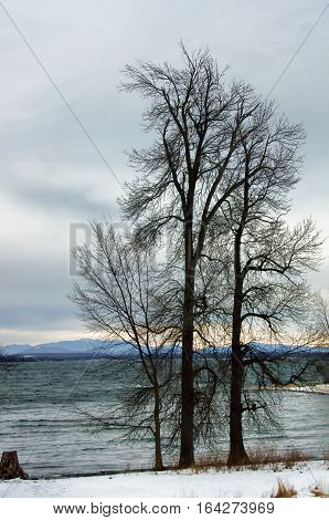 Lake Champlain in winter looking east. The foothills of the Green Mountains of Vermont can be seen over the eastern shore of the lake. Two large leafless trees are in the foreground