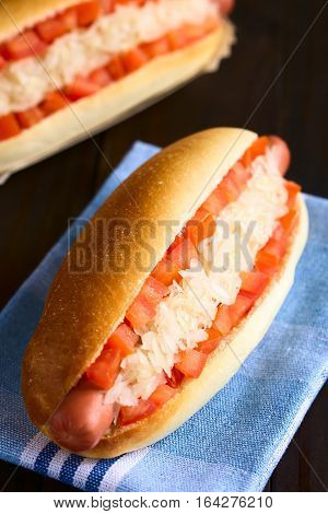 Chilean Completo Clasico (classical) or Completo Aleman (German) traditional hot dog sandwiches made of bread sausage tomato cubes and sauerkraut photographed on dark wood with natural light (Selective Focus Focus one third into the hotdog)