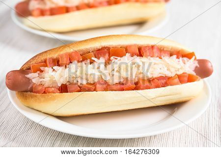 Chilean Completo Clasico (classical) or Completo Aleman (German) traditional hot dog sandwiches made of bread sausage tomato cubes and sauerkraut photographed with natural light (Selective Focus Focus in the middle of the sauerkraut)