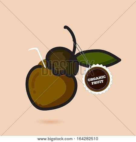 Abstract Organic fruit.
fruit labels and elements.
vector design