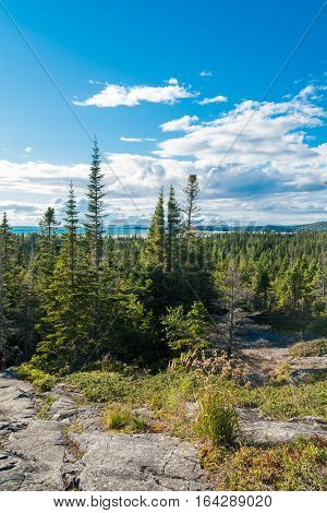 Landscape with forest in Ontario, Pukaskwa National Park. Canada.