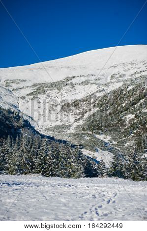Winter in the national park with mountains