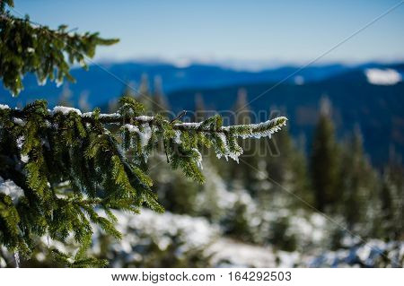 Winter in the national park with mountains