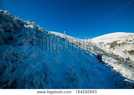 Winter in the national park with mountains