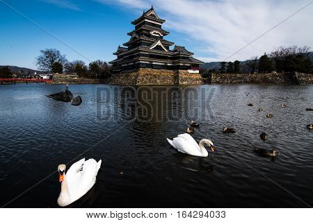 Matsumoto Castle
The Historic Black castle in japan