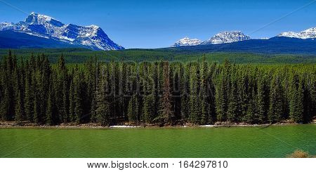Candian Rockies.  Bow river valley in Banff National Park, Alberta, Canada