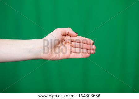 Hand Female Fingers A Green Background